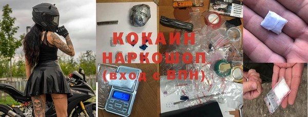 дмт Богданович